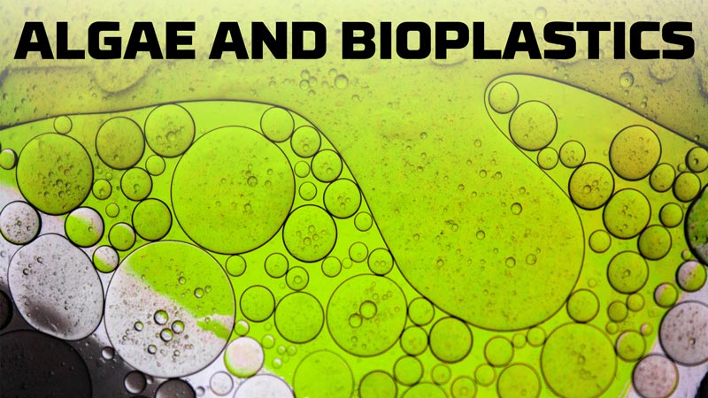 image-algae-and-bioplastics