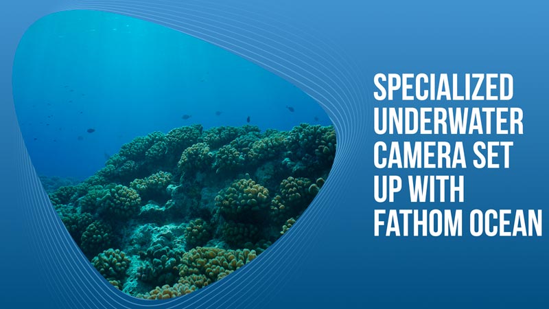 Specialized Underwater Camera Set Up with Fathom Ocean