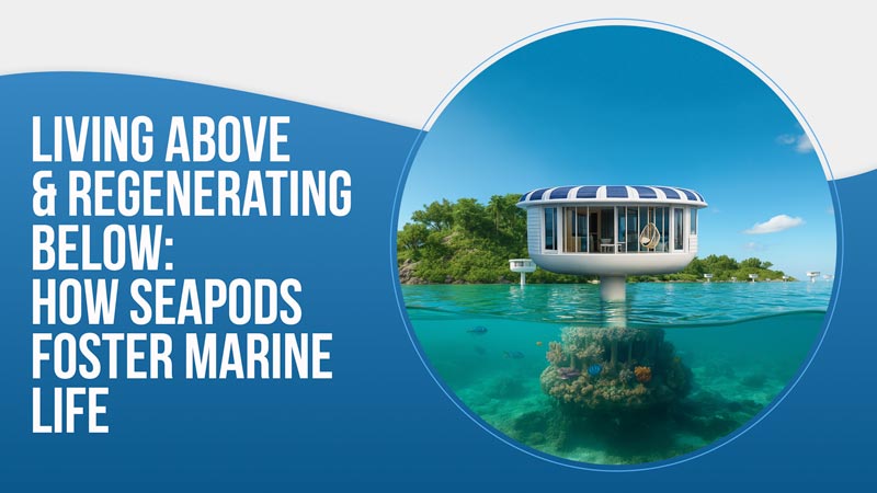 Living Above Regenerating Below: How SeaPods Foster Marine Life